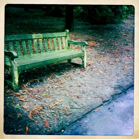 February - A park bench