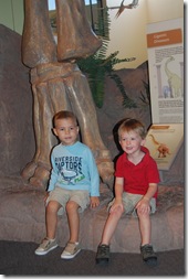 Natural History Museum 2011 058
