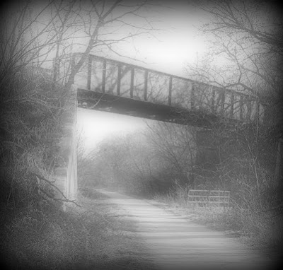 In the late 1800s a train derailment at the bridge that crosses Salt Creek near Lincoln, Nebraska left almost a dozen dead.  Many claim those lost souls still roam Wilderness Park to this day.