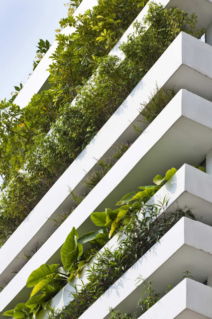 Close up photo of small balconies on the facade used for vegetation