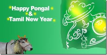 1.pongal