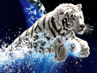 Tiger hd Wallpaper 04
