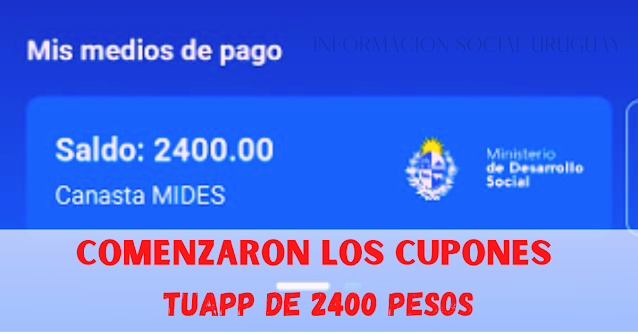 CANASTA TUAPP DE 2400 PESOS