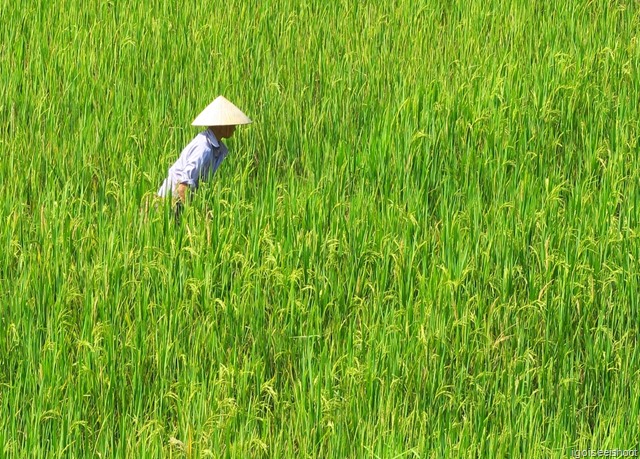 Hiking in PU Luong, near Kho Muong village