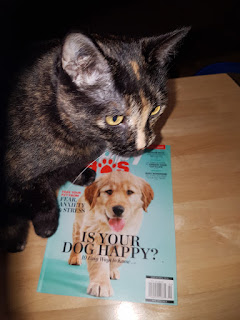 Companion Animal Psychology News April 2019. Melina checks out the new magazine