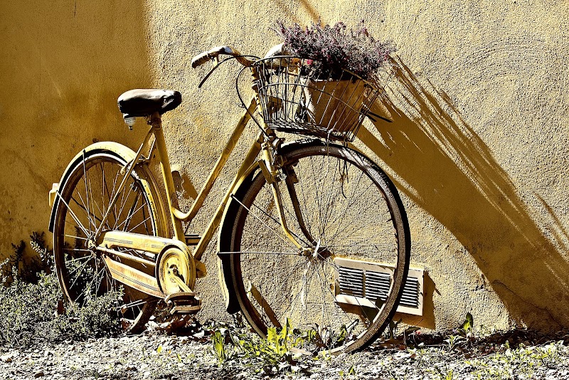 Vida como uma bicicleta