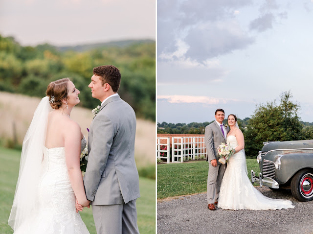 Summer Wedding at Dulany's Overlook photographed by Heather Ryan Photography