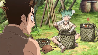 ドクターストーンアニメ 1期1話 Dr. STONE Episode 1