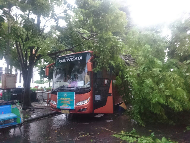 Sabhara Evakuasi Pohon Tumbang Di Jalan Senopati