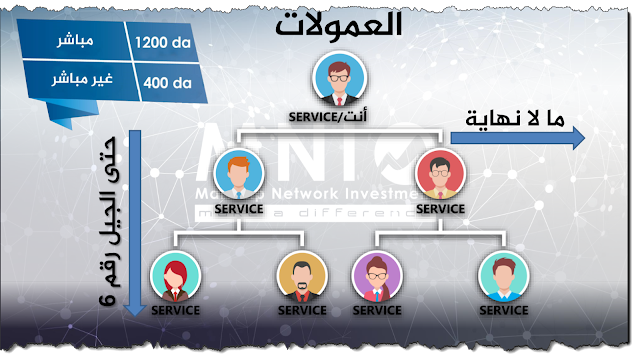 نظام الشبكي في شركة مارتشيب