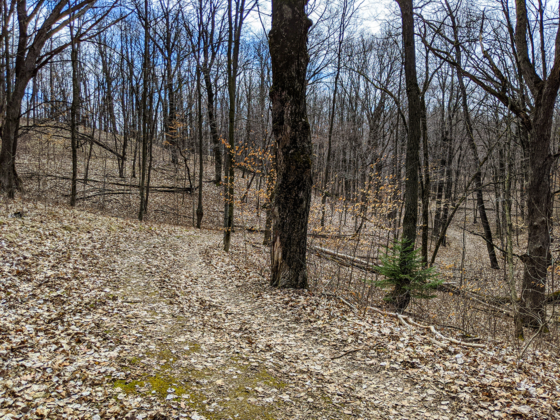 New Fane Hiking Trails