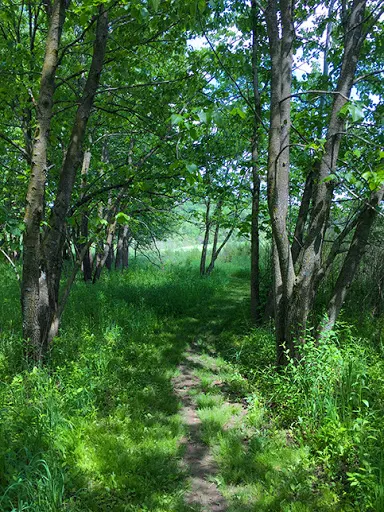 Ice Age Trail Lodi Marsh Segment