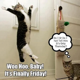 Woo Hoo, Baby! It's Finally Friday. ~ Do I or Do I not tell him it's only Thursday yet.