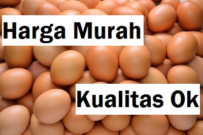 Jual Telur Ayam Ras Daerah Tamiang Layang