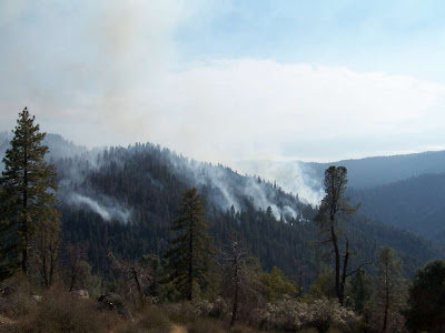 Yosemite Park - Wawona Prescribed Fire 