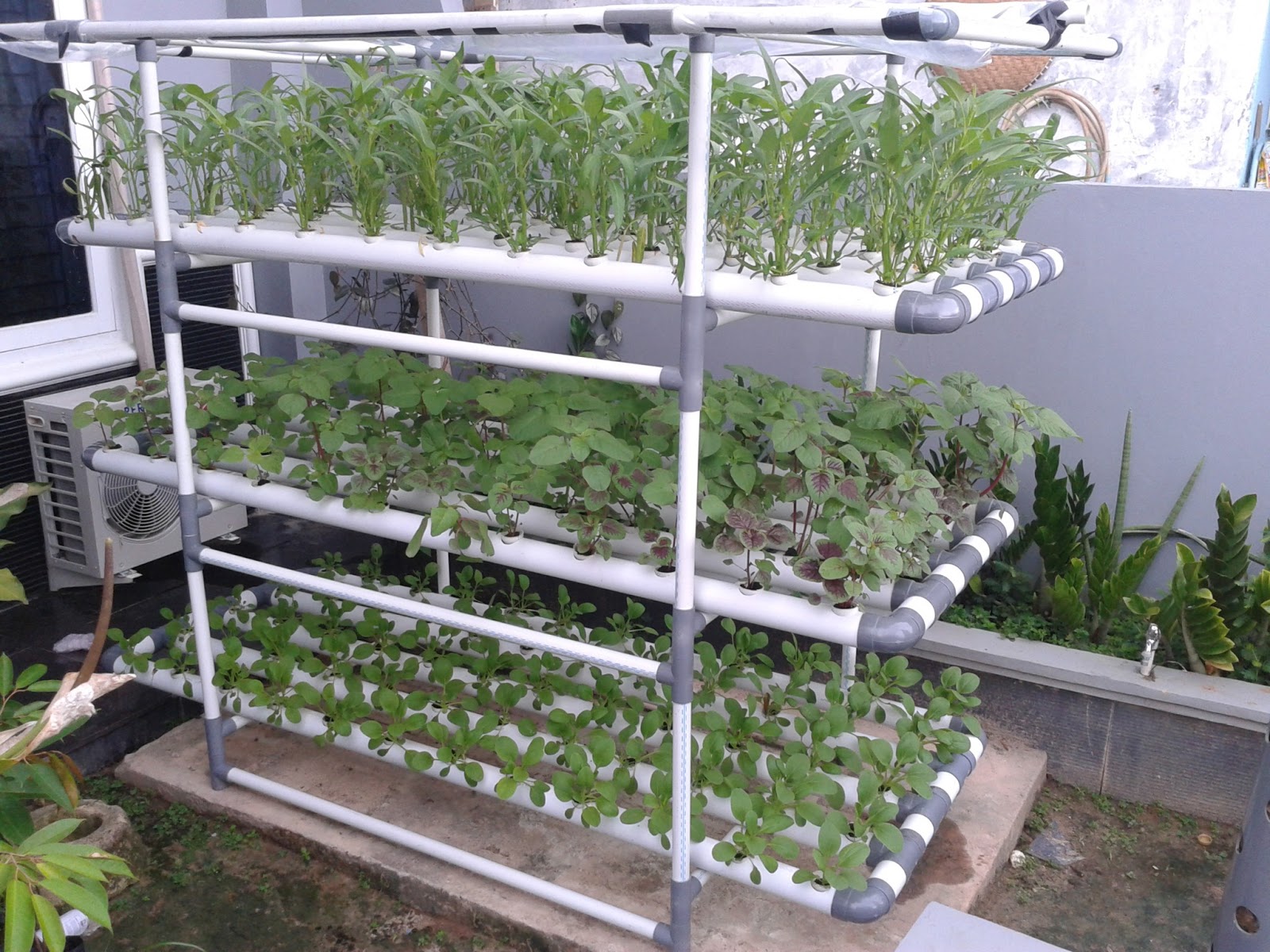 How To Make Easy Hydroponics at Home and Urban Farmer ...