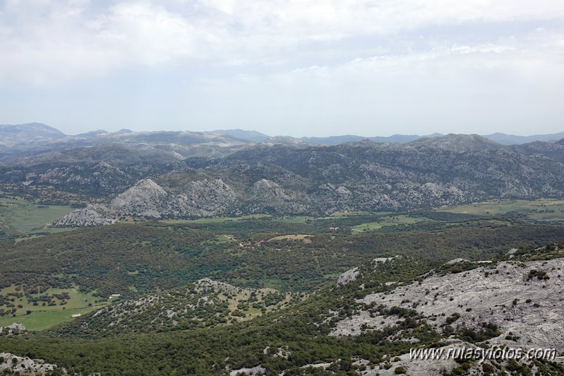 Nueve picos de la Sierra del Endrinal