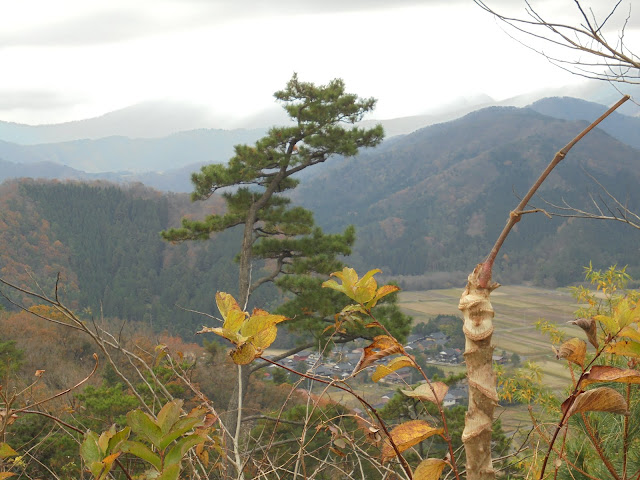 種原集落の鈑戸山頂からの眺望