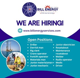  Bill Energy service opportunities for 