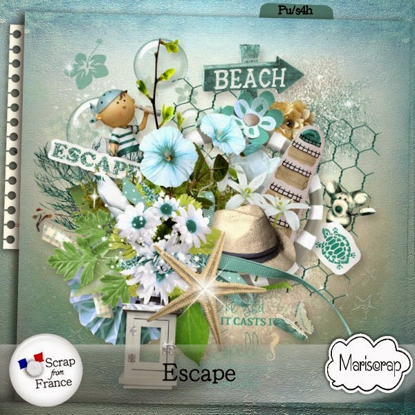 http://scrapfromfrance.fr/shop/index.php?main_page=index&manufacturers_id=12