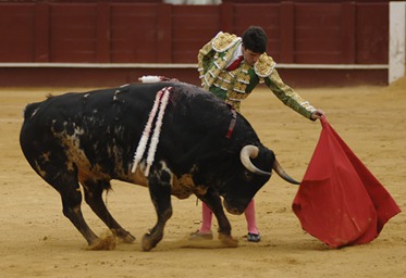Imagen-1101-302-1