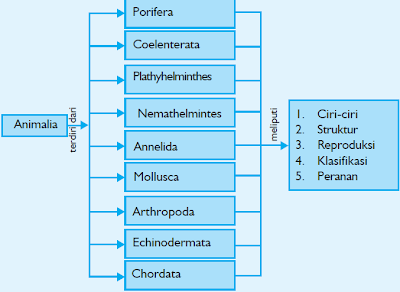 peta konsep, kingdom animalia