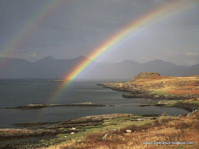 Amazing Rainbows