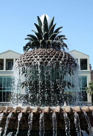 IMG_0251 IMG_0251