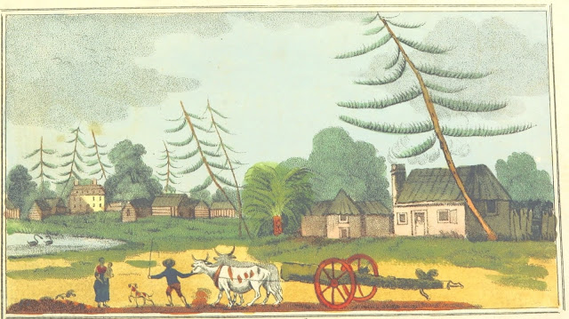 Sydney  by V. Woodthorpe Published Dec. 24, 1802, by M. Jones, Paternoster Row