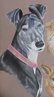 dessin galgo