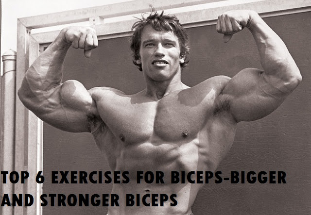 TOP 6 EXERCISES FOR BICEPS-BIGGER AND STRONGER BICEPS