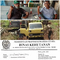 IP2BAJA Nusantara: Tangkap Para 'AKTOR' Pembalak Kayu Pinus di Silamosik 1 Porsea