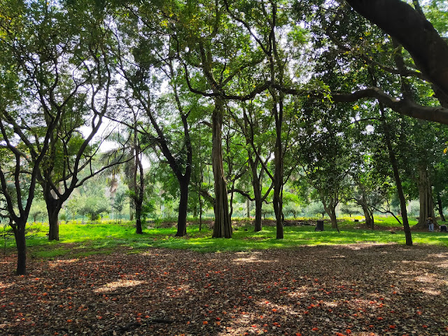 Cubbon Park Bengaluru Karnataka