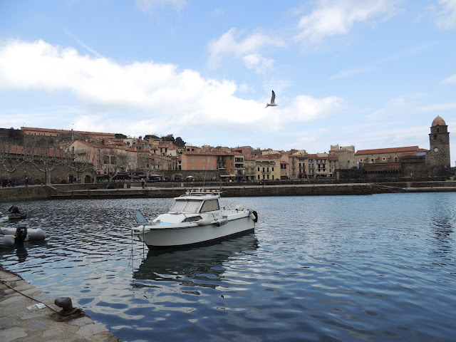 boat in the port of collioure, south of france,