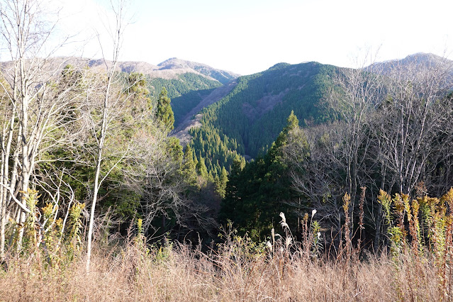 岡山県真庭市の蒜山下徳山 蒜山大山スカイラインからの眺望