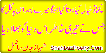  Tery Baad Urdu Best Poetry Wallpaper New HD 2013 Free