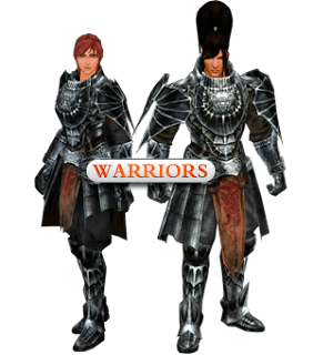 warrior in metin2