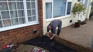 Flyfour working hard in the garden putting down the weed control fabric