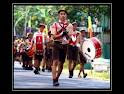 drumband marching band musik sekolah