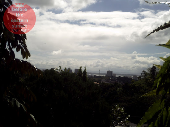 Cebu City as viewed from the Taoist Temple