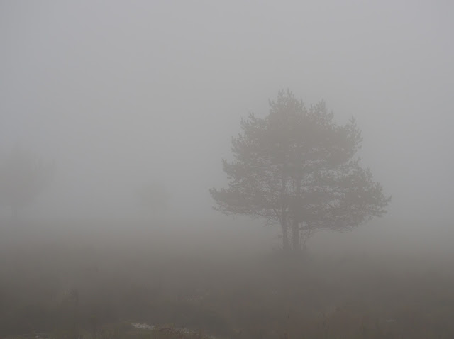 sierra salvada orduña burgos alava