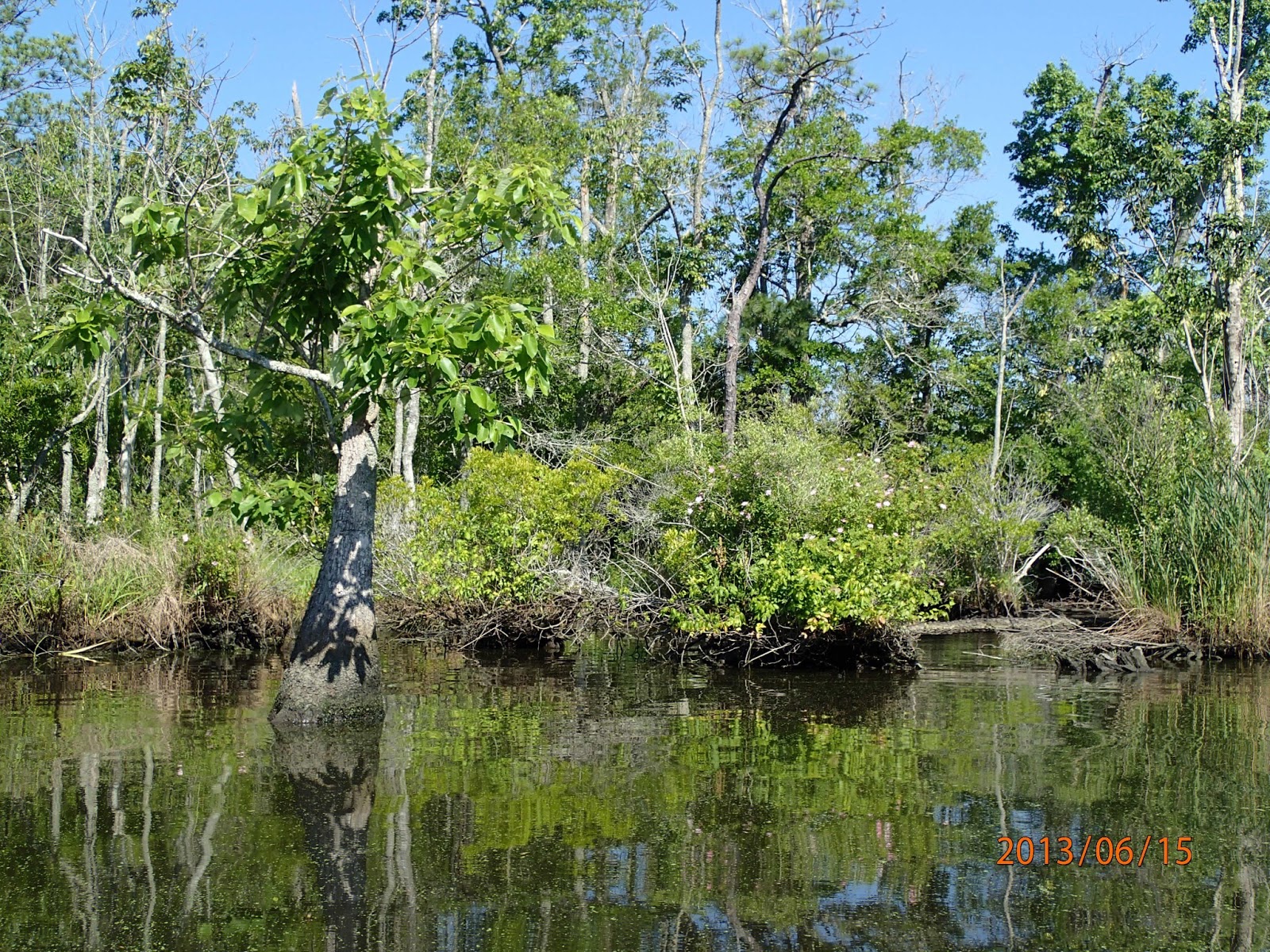 Saltwater Fishing In Virginia : How To Decrease Tmj Ear Pain By Means Of Property Remedies