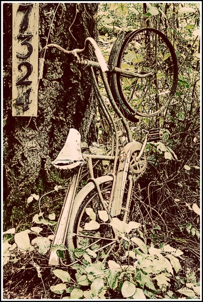 Bicyle in treelargesm