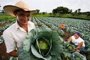 Governo lança Plano de Fortalecimento de Comercialização da Agricultura Familiar em Picuí 