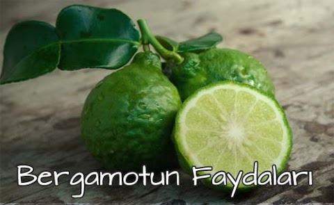 Bergamot Nedir? Faydaları Nelerdir?