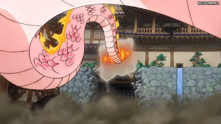 ワンピースアニメ 1049話 モモの助 大人 Momonosuke CV.下野紘 | ONE PIECE Episode 1049