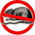 Cara Ampuh Mengusir/Membasmi Tikus di Rumah atau Sawah | gakbosan.blogspot.com