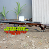 Mars Gun 25/60 dwp PCP manometer GAMO