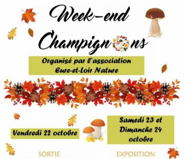 Week end champignons  2021 en Eure-et-Loir