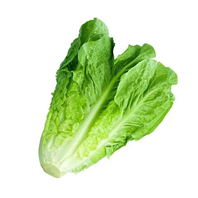 Lettuce